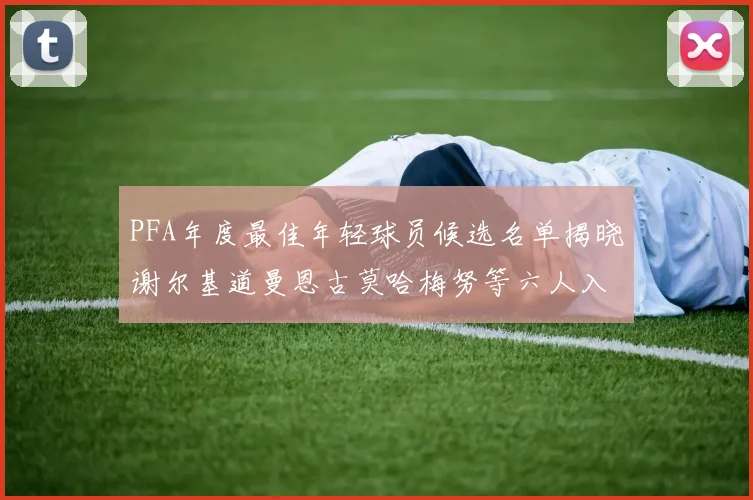 PFA年度最佳年轻球员候选名单揭晓谢尔基道曼恩古莫哈梅努等六人入围