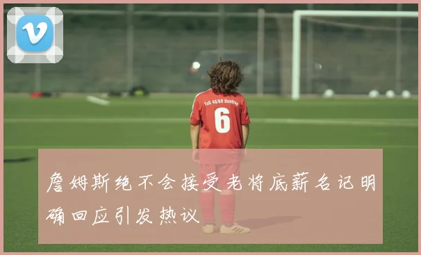 詹姆斯绝不会接受老将底薪名记明确回应引发热议